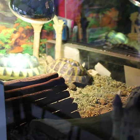 Chassalla Ξενοδοχείο